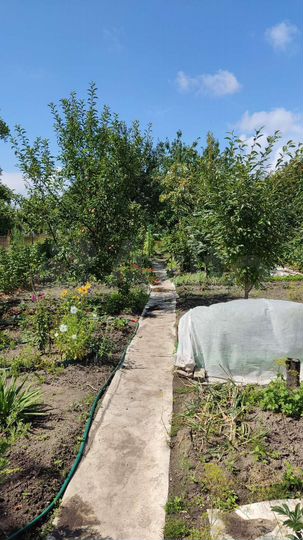 Участок 5 сот. (СНТ, ДНП)