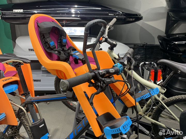 Детское кресло Thule Ride Along Mini