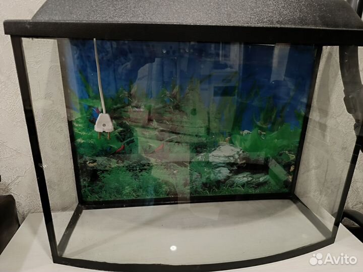Аквариум