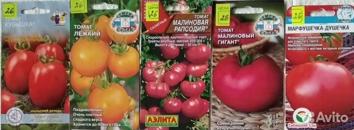 Семена помидор