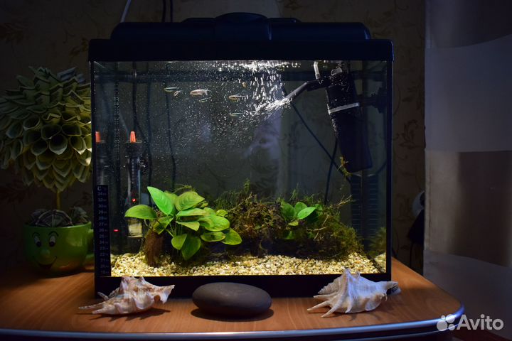Аквариум 30л