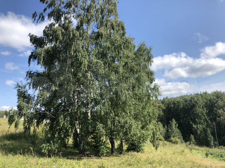 Участок 14,5 сот. (СНТ, ДНП)