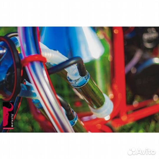 Доильный аппарат для коров Меласти Melasty TK2-2PS