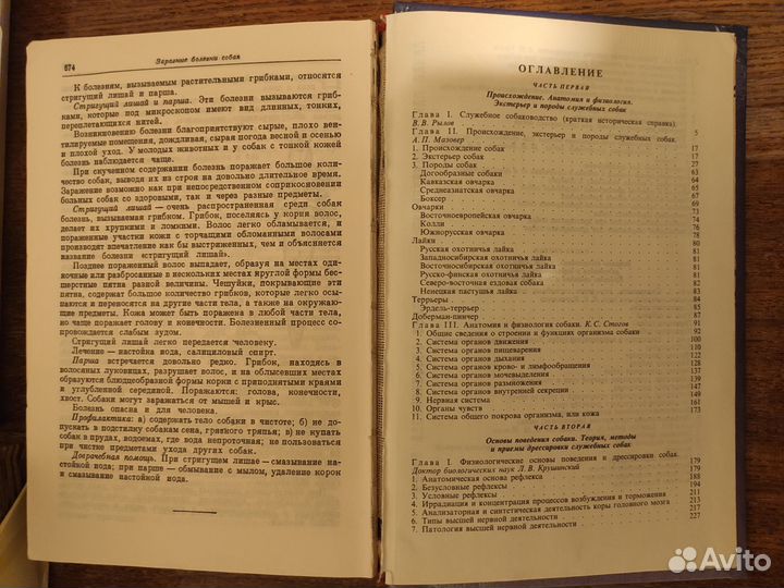 Руководство по подготовке служебных собак