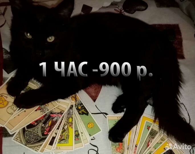 Гадание Таро. Личный прием. Обучение