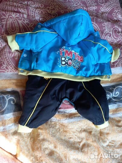 Зимняя одежда для собаки