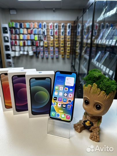 iPhone 12 mini, 256 ГБ