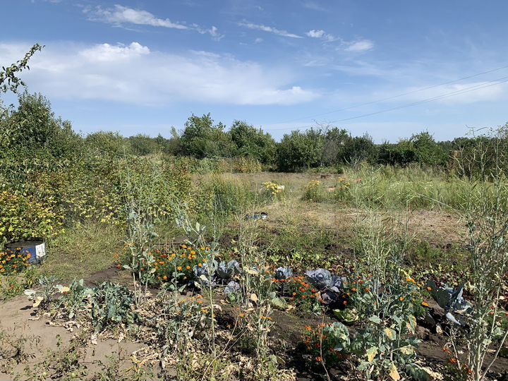 Дача 10 м² на участке 8 сот.