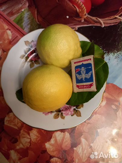 Лимоны