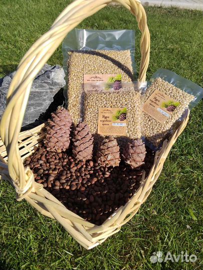 Кедровый орех