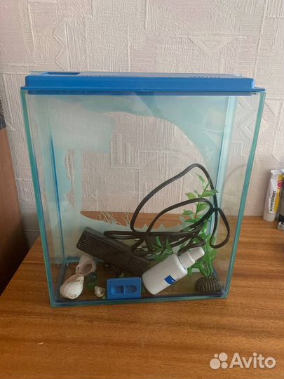 Аквариум