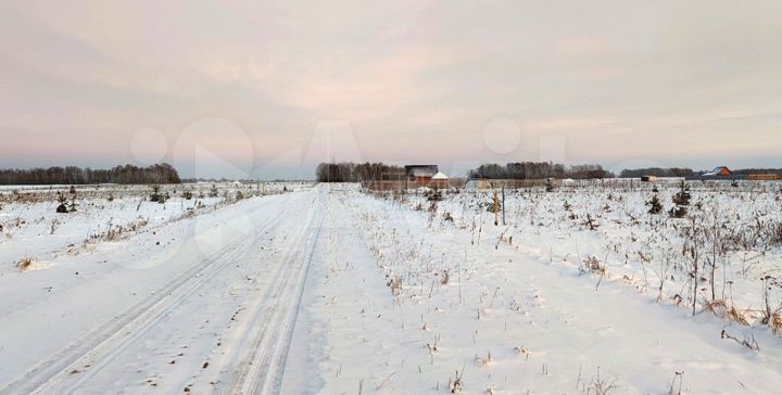 Участок 12,9 сот. (СНТ, ДНП)
