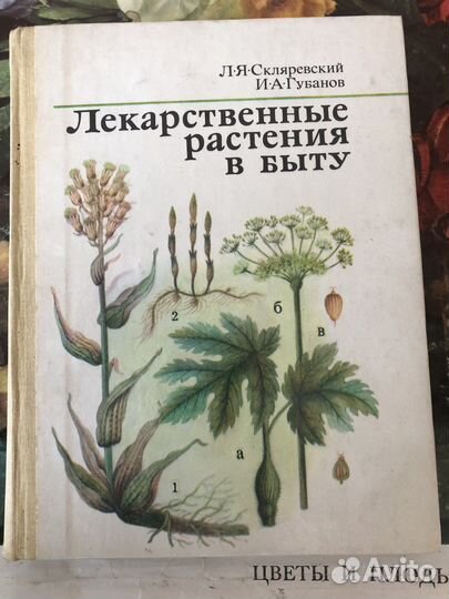 Лекарственые растения Книга по ремонту радио