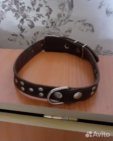 Ошейник для собак