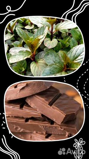 Мята сортовая, 15 сортов