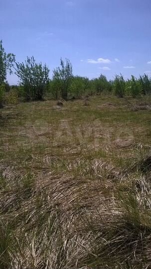 Участок 6 сот. (СНТ, ДНП)