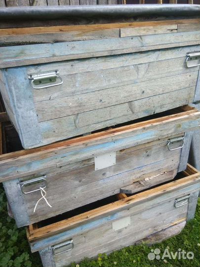 Улей с магазином для пчел