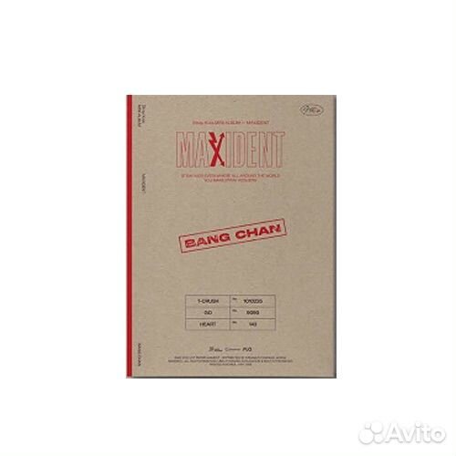 Stray kids maxident case