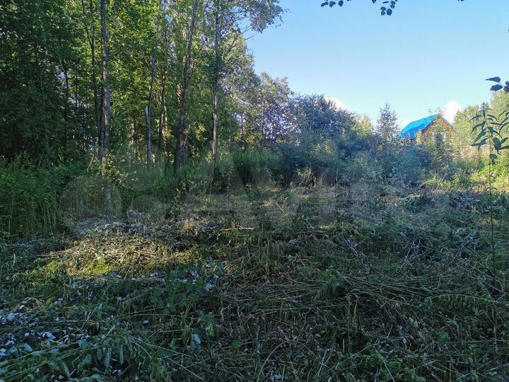 Участок 10 сот. (ИЖС)