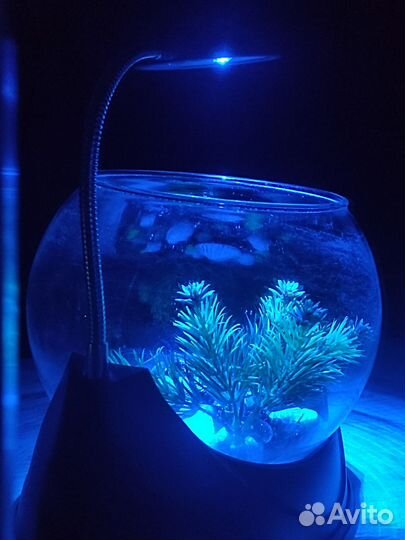 Аквариум для петушка с подсветкой