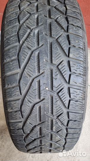 Tigar Winter 225/45 R17 Z