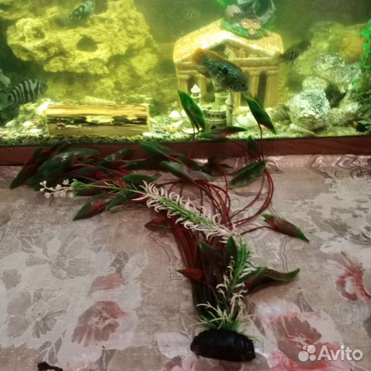 Декор для аквариума