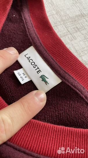 Свитшот lacoste