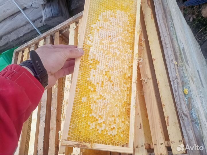 Улей для пчел ППУ Медведь