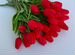 Искусственные цветы, силиконовые тюльпаны