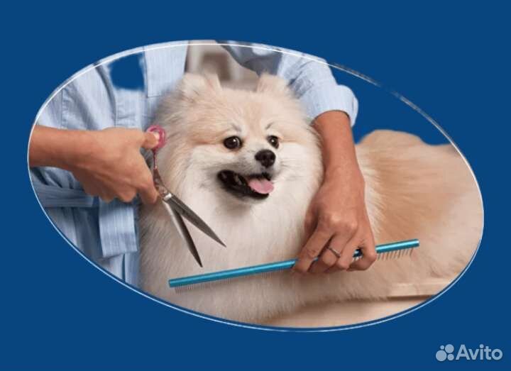 Стрижка собак и кошек (груминг)