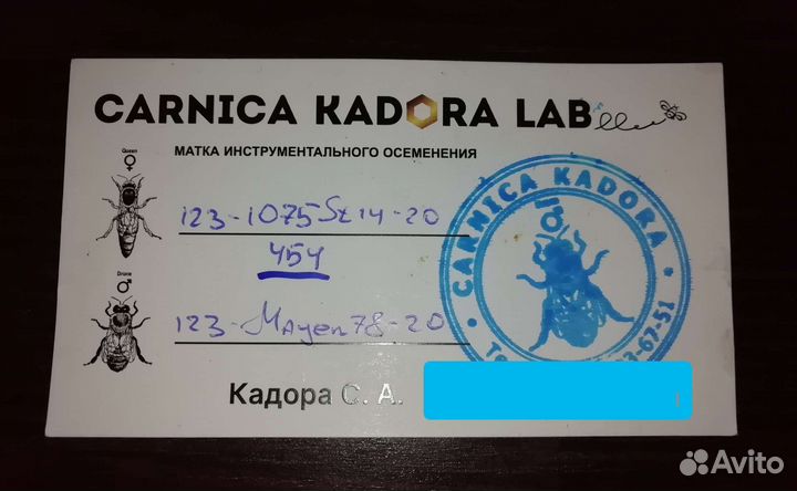 Плодные матки от ио
