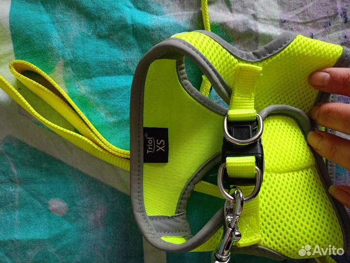 Шлейка для маленькой собаки