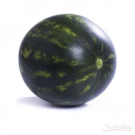 Семена Арбуза 