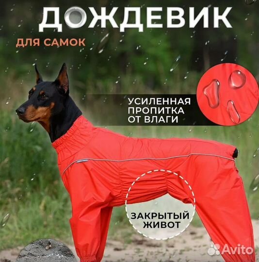 Дождевик для средней собаки