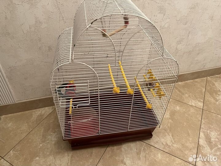 Клетка для птиц