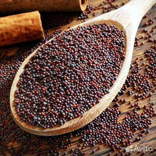 Горчица черная