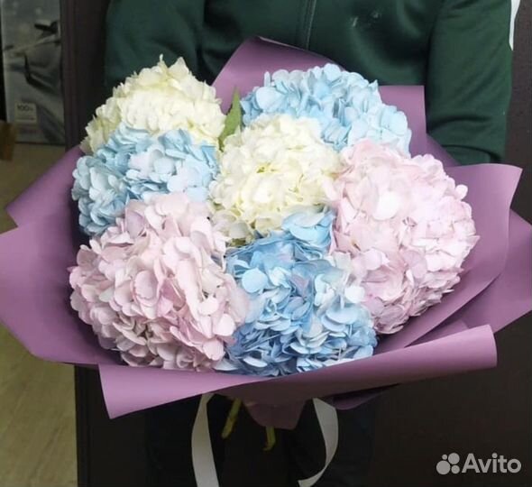 Гортензии цветы букеты доставка цветов