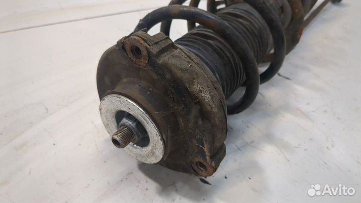 Амортизатор подвески Skoda Roomster, 2007