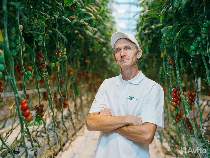 Наладчик оборудования