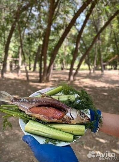 Вобла астраханская (вяленая рыба)