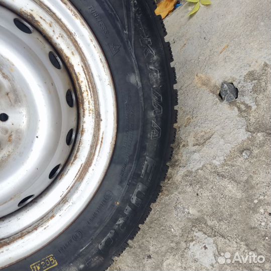 КАМА Кама-Евро-519 175/70 R13