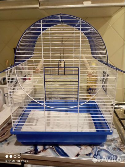 Клетка для попугая бу