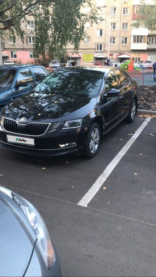 Skoda Octavia: фото владельца
