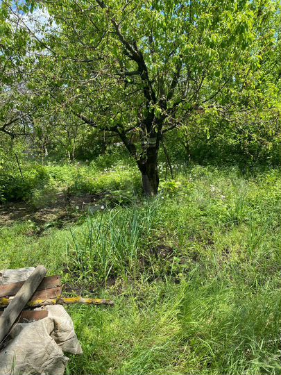 Дача 15 м² на участке 5 сот.