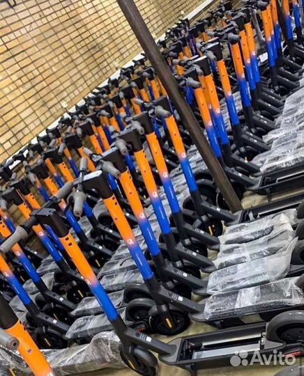 Электросамокаты Ninebot для кикшеринга