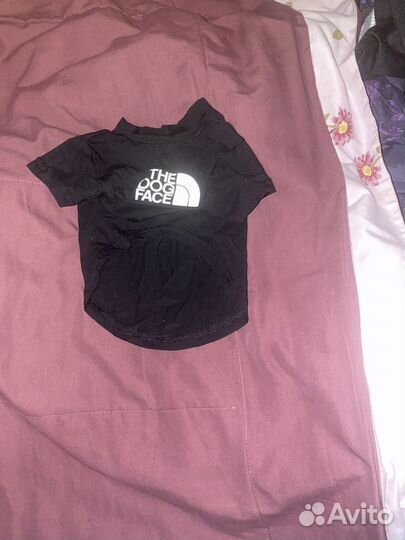 Одежда для маленьких собак