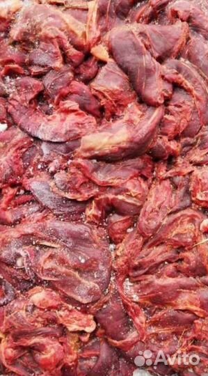 Мясо для собак в Рязани