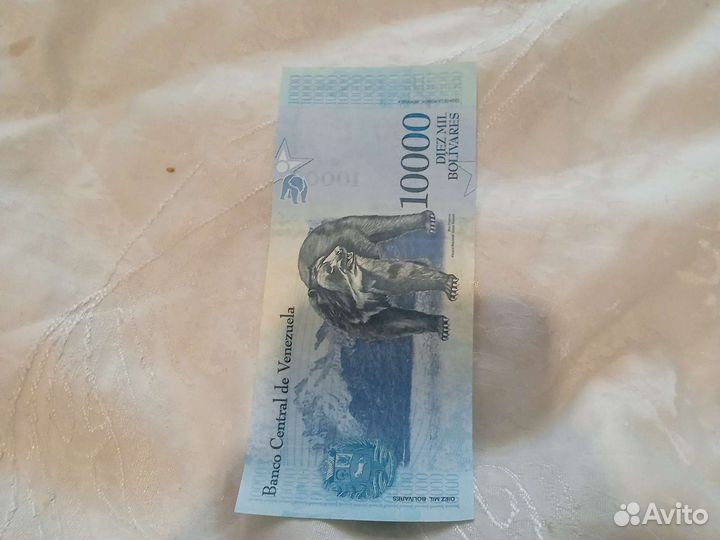 10000 бразильских рубле й торг уместен