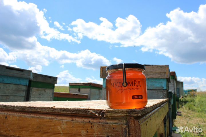 Мёд липовый - 18 кг, своя пасека