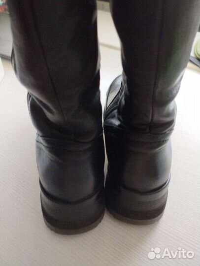 Сапоги кожаные женские Ralf Ringer